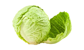 热门推荐 - 米乐